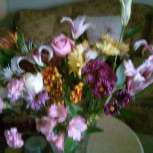 Meet your Posher, Dorrett